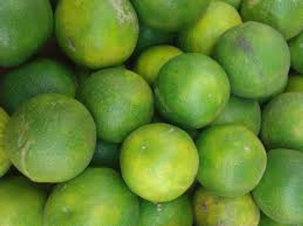 Sweet Lime(Mausambi)