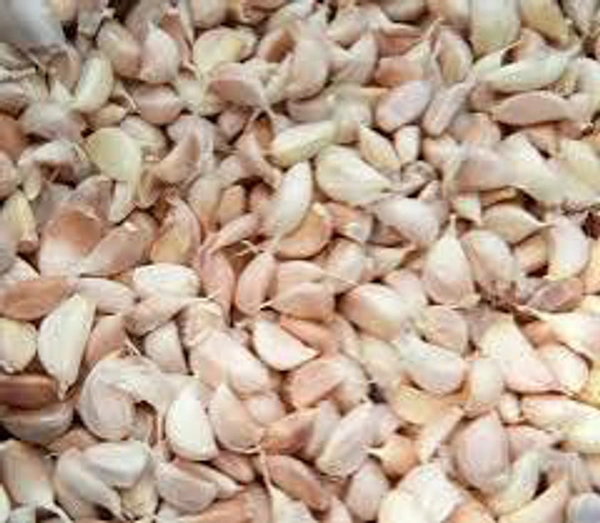 Garlic Tukdi