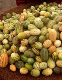Kachri