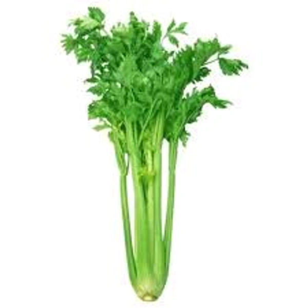 Celery Leaves