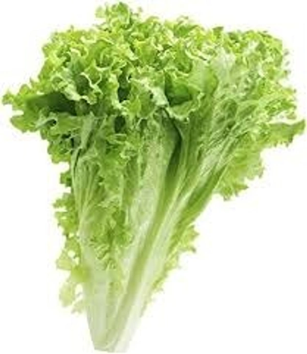 Lectus Green