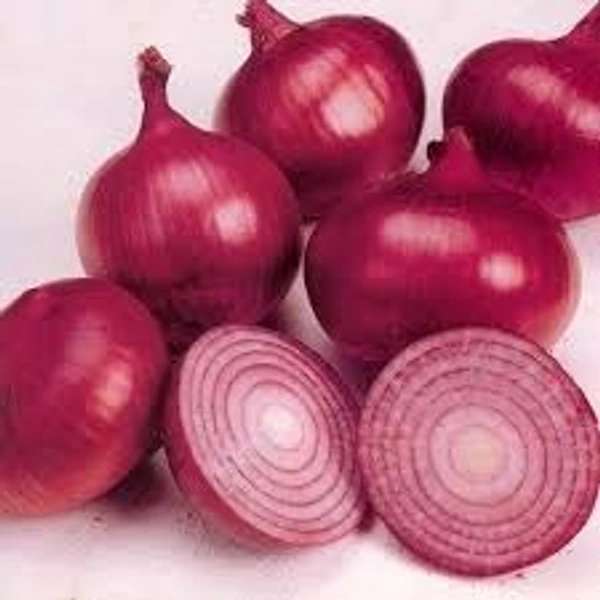 Nashik Onion