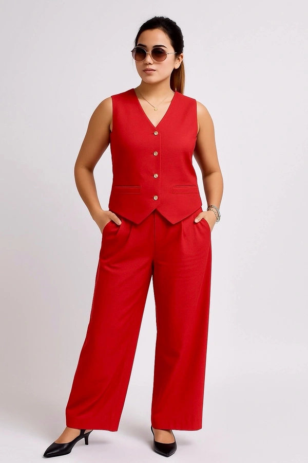 Beautiful Vest With Pant