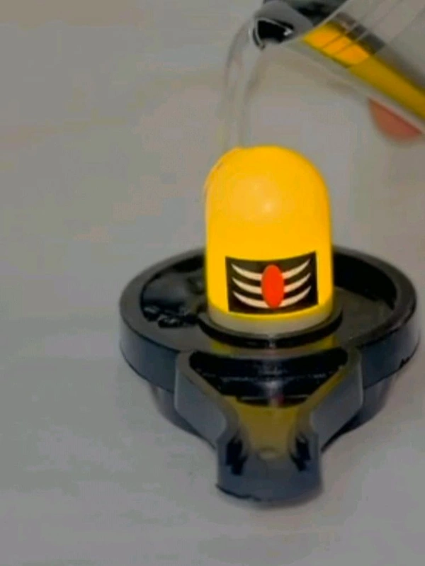 Water Sensor Shivling 1PC (BX231)