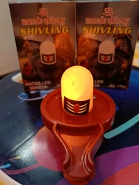 Water Sensor Shivling 1PC (BX231)