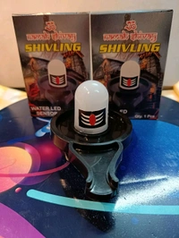 Water Sensor Shivling 1PC (BX231)