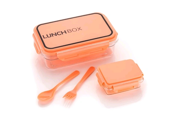 DELICIOUS LUNCH BOX 1PC (BX107)