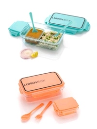 DELICIOUS LUNCH BOX 1PC (BX107)