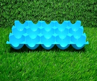 Plastic Eggs Tray (BX3029)