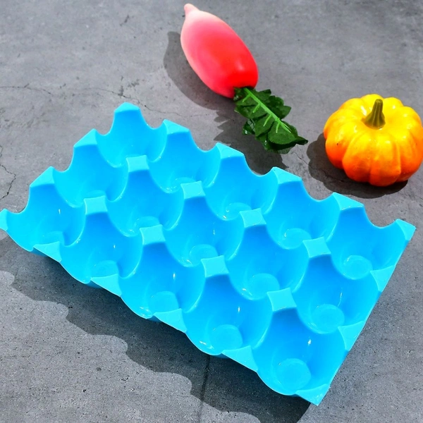 Plastic Eggs Tray (BX3029)