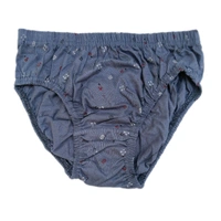 PIYU Women Panty By Adhok - 90 (36)