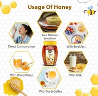 Disano DiSano Pure Honey 500 g (pack of 1)