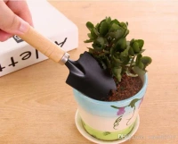   3 Pcs/Set New Creative Gardening Mini Garden tools