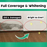 Wall Crack Repair Paste
