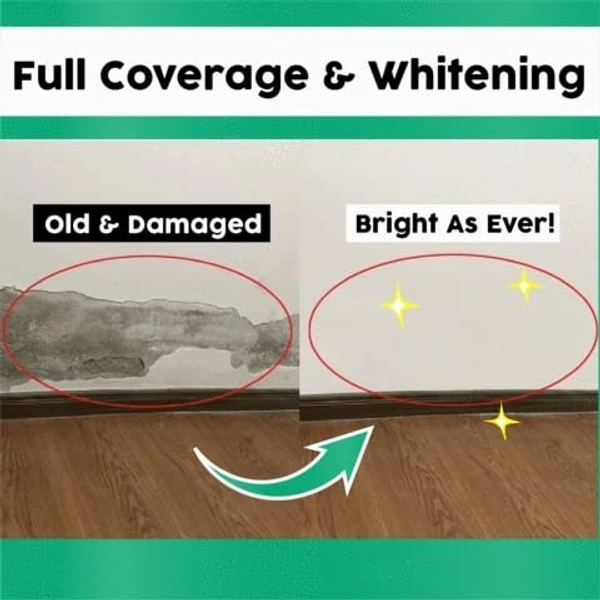 Wall Crack Repair Paste