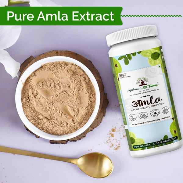 Amla Extract Powder - 3
