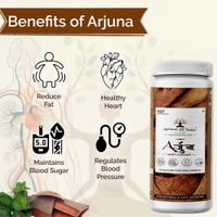 Arjuna Amla Extract Powder - 3