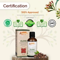Clove Pure Steam Distilled Essential Oil - 3