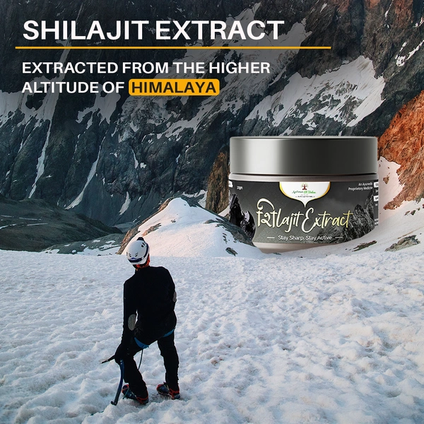 Shilajit Extract Powder - 3