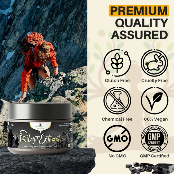 Shilajit Extract Powder - 3
