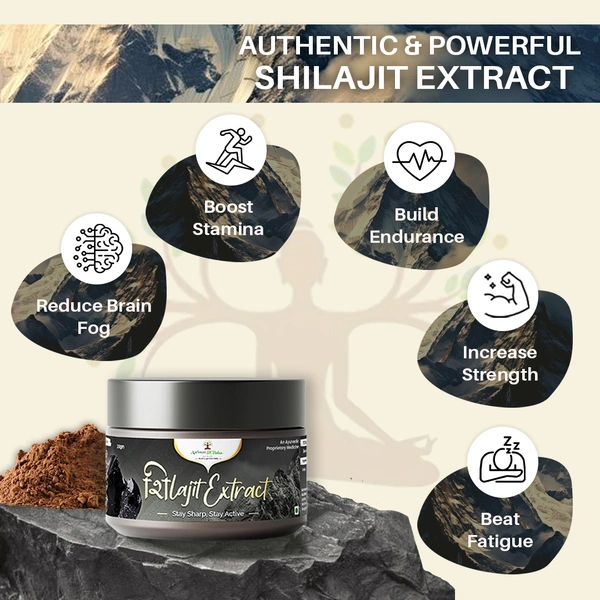Shilajit Extract Powder - 3