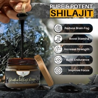 Shudh Shilajit Resin - 3
