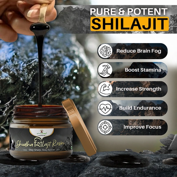 Shudh Shilajit Resin - 3