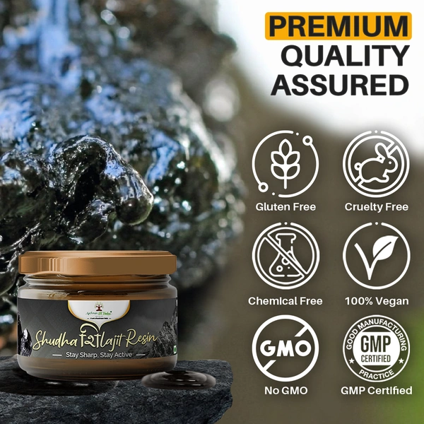 Shudh Shilajit Resin - 3
