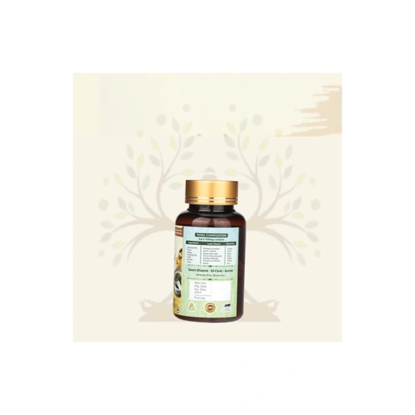 Swarna Prashan Veg Capsules - 3
