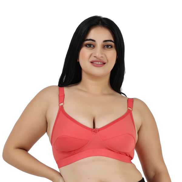Ladyland Net Padded - 38b, 24 - 24, 38b - Brafactory.In at Rs 259/piece,  New Delhi