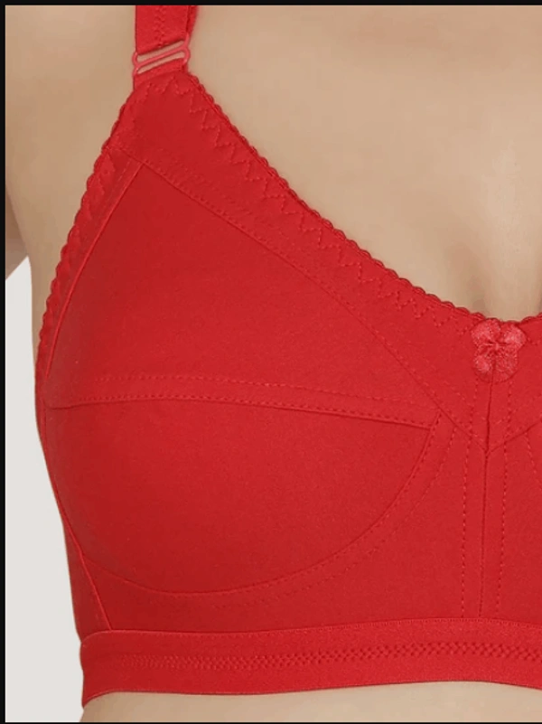 Ladyland Dhoom bra - multicolor, 6, 34C