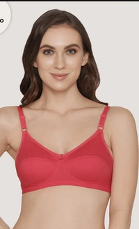 Ladyland Women Non padded Full coverage bra - 38B