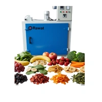 Electric Tray Dryer Machine – High-Capacity Industrial Dehydration Solution