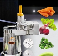 Vegetable Grater & Shredder Multi Purpose