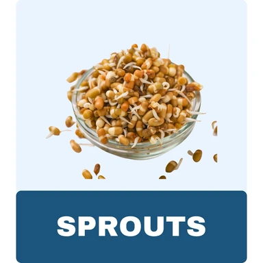 Sprouts