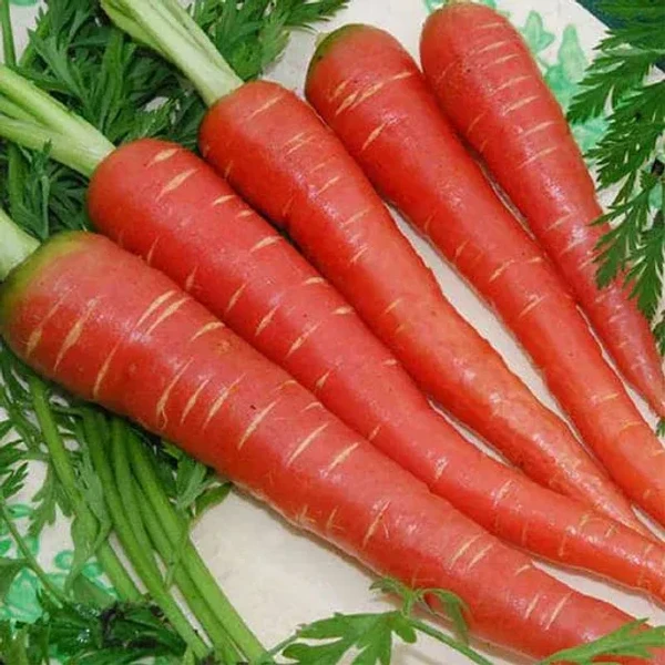 Carrot (Gajar) 500gm