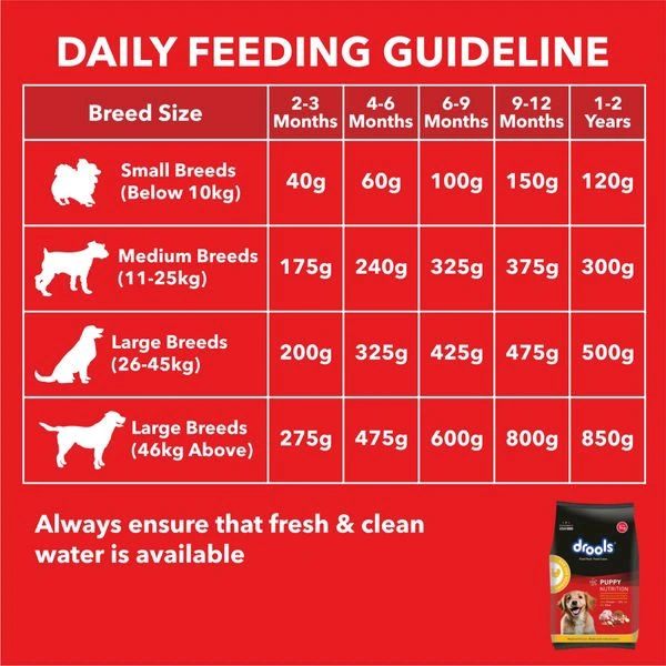 Drools Adult Chicken & Egg 1.2KG