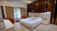 Ultra luxury Bedroom - Wall Panel