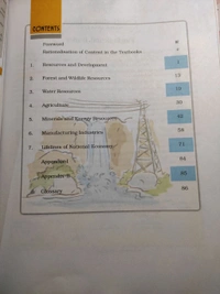 NCERT Class 10 Geography Social Science Contemporary India