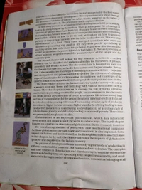 NCERT Class 10 Social Science Understanding Economic Development