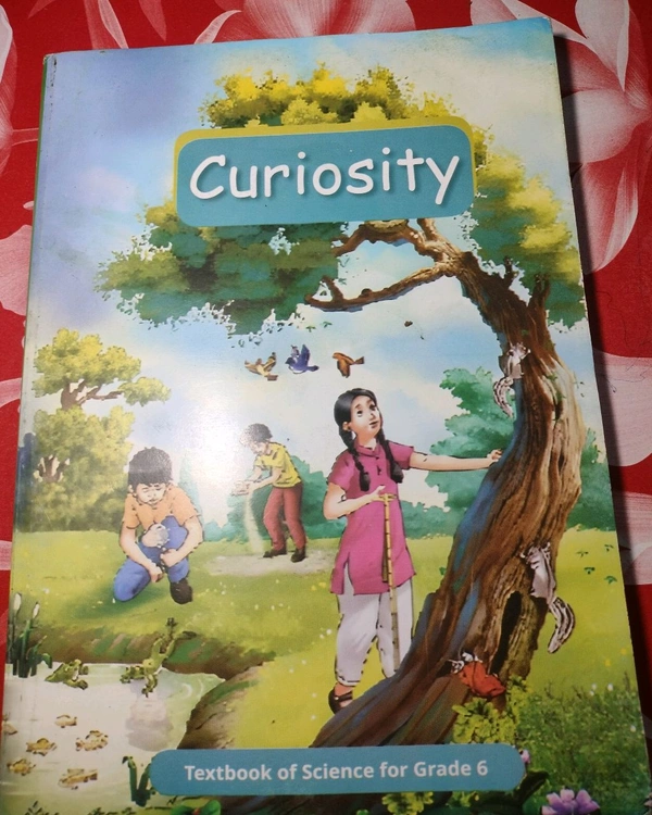 NCERT Class 6 Science Curiosity 