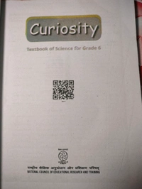 NCERT Class 6 Science Curiosity 