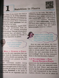 NCERT Class 7 Science