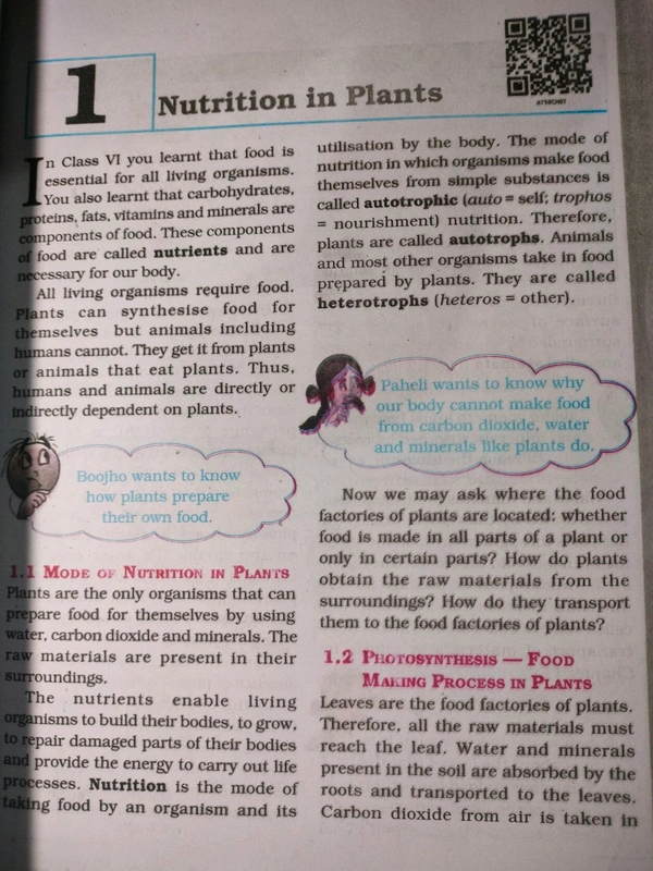 NCERT Class 7 Science