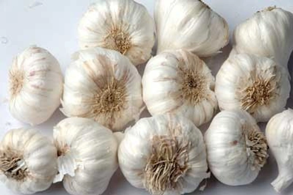 श्री कृष्णा डिजिटल स्टोर पूलासर Garlic (Indian) : 100gm