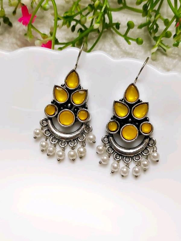 Beautiful Oxidised Hook Earrings 