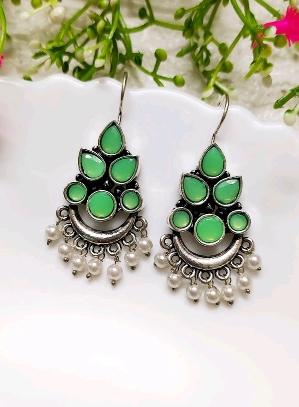 Beautiful Oxidised Hook Earrings 