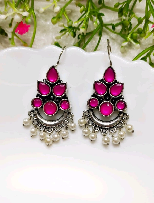 Beautiful Oxidised Hook Earrings 