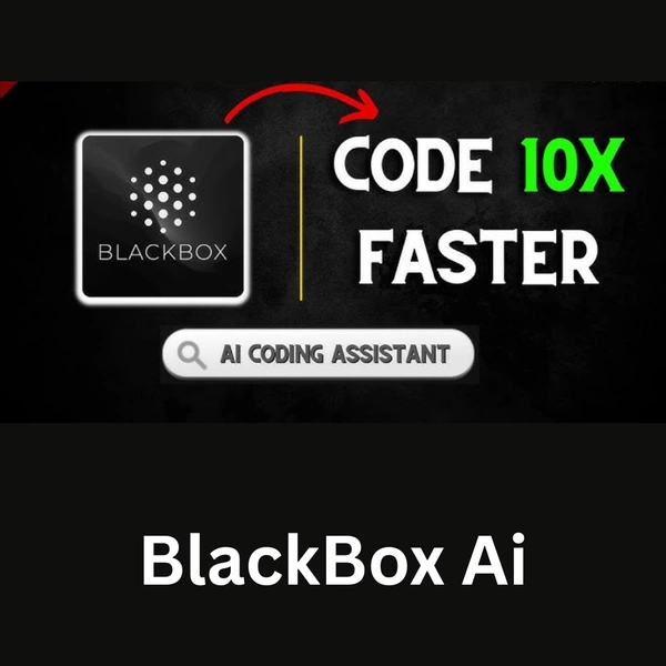 BLACK BOX AI – 3 Month [Business Plan]