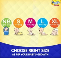 Mamy Poko Standard Diaper Pants XL 24U